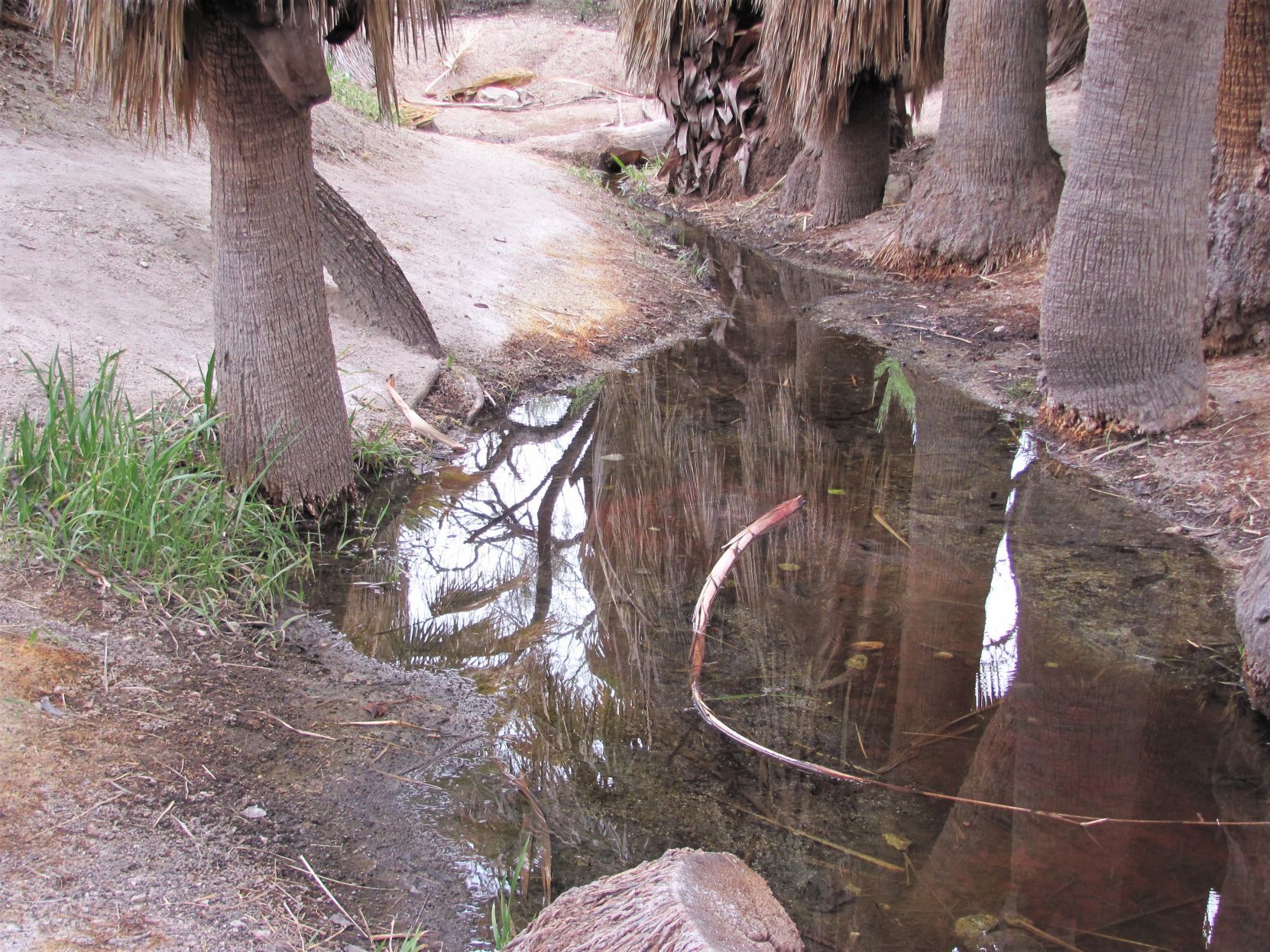Water flowing